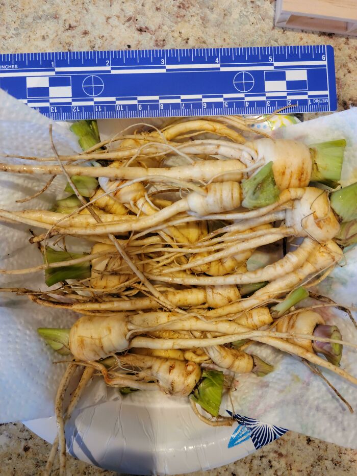 A Sub-Par-Snip Harvest