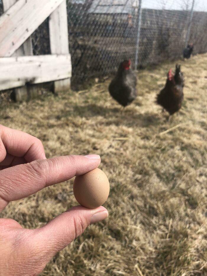 Breakfast For Weeks!