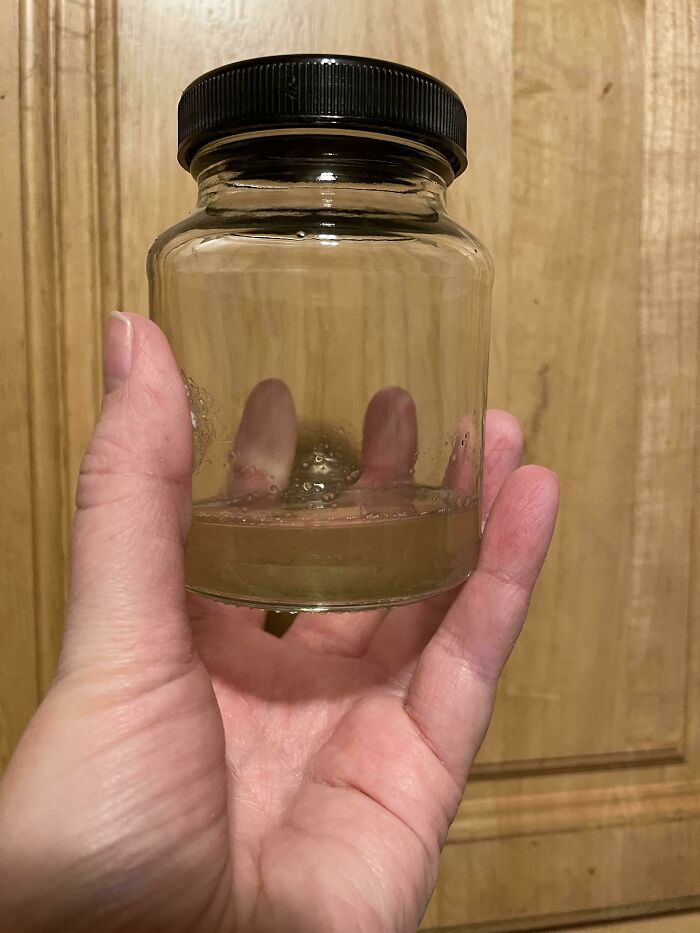 My First Maple Harvest Boiled Down It At Least Taste Great!