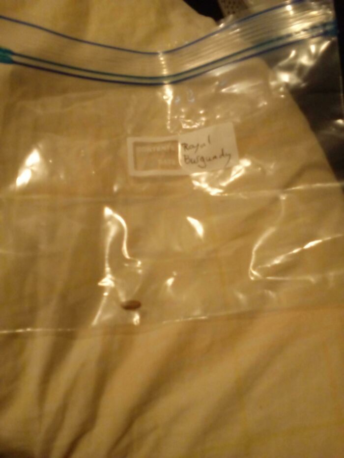 Saved My Entire Harvest For Seed. Going To Plant A Whole Field This Year!