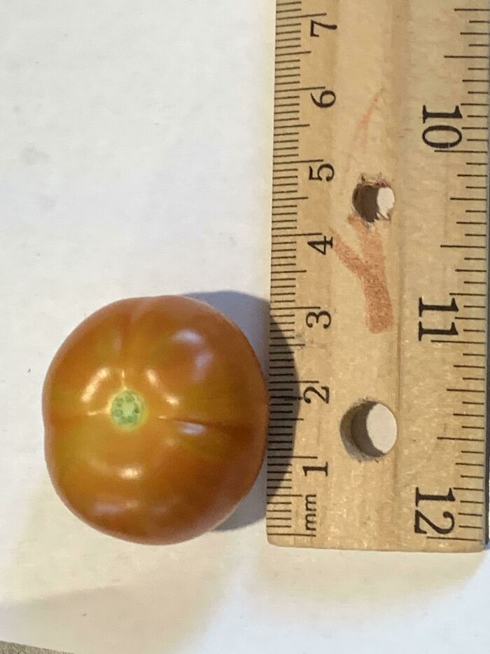 My Months Of Anticipation Have Finally Payed Off!!!