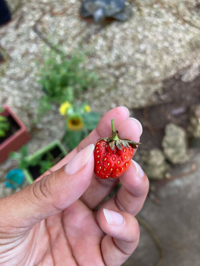 Sweet Treats For The Kiddo!