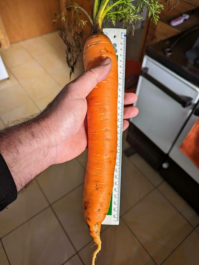 One Might Be Enough For Today's Recipe