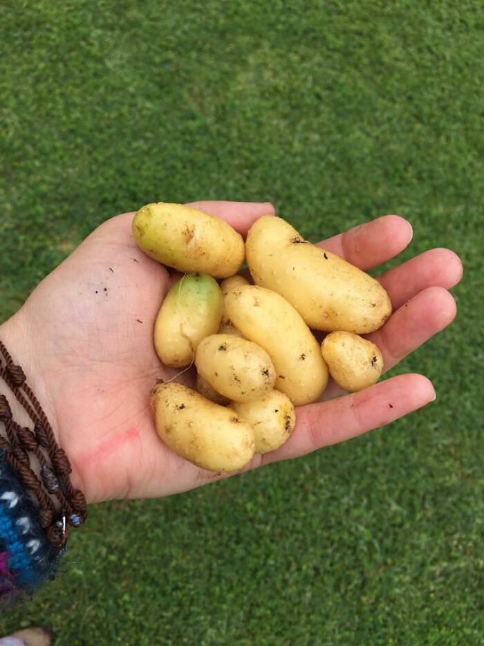 I Don’t Like To Boast, But