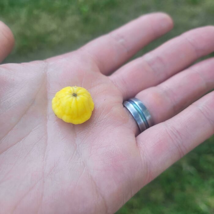 Behold My Bounty! It Will Feed Villages Throughout The Winter Months!