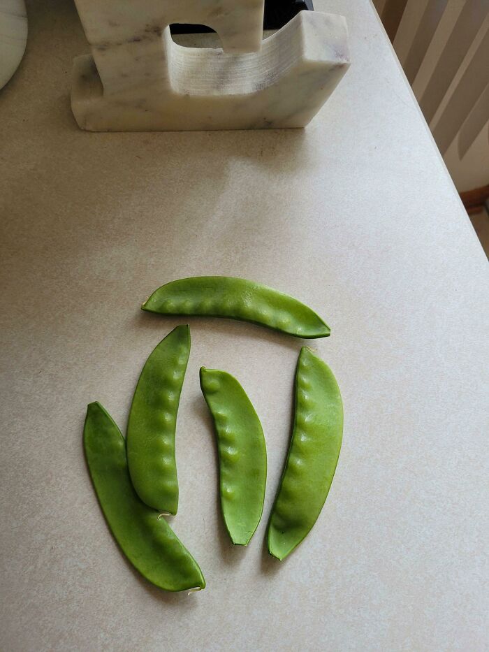 Tonight.. We Shall Feast!