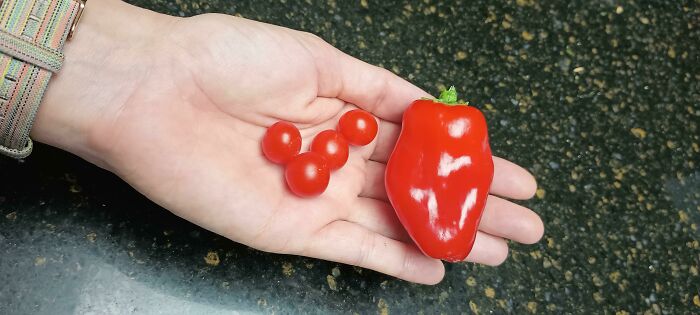 I'm Ready To Throw A Party With All The Salsa This Will Make