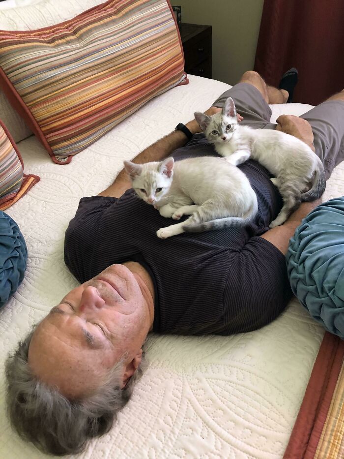 Tadpole And Joey Less Than An Hour After Moving Into Their Forever Home. I Think They Love Their New Dad Already 💕