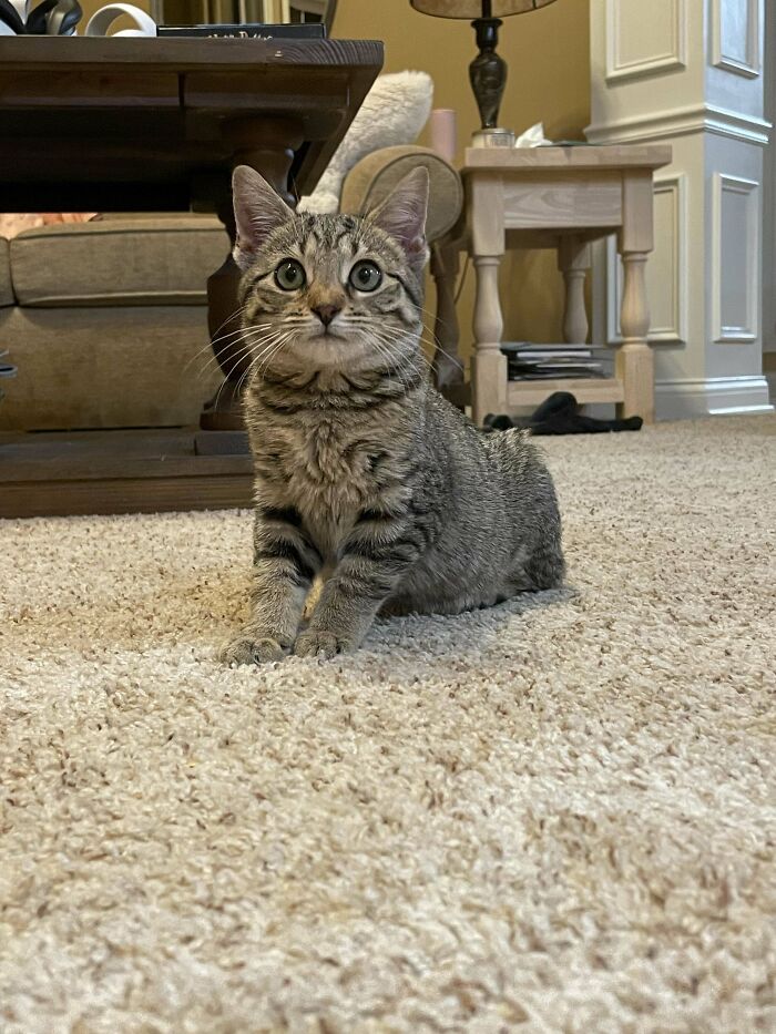 New Member Of The Family