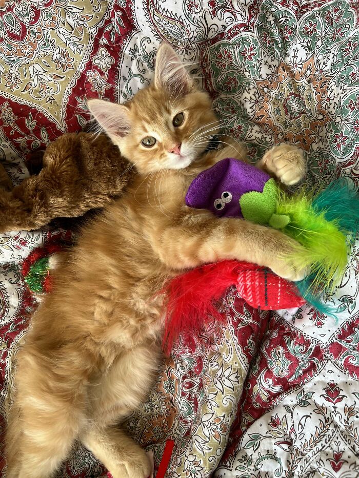 So… Ben Has Really Gotten Used To The New Home Quickly!