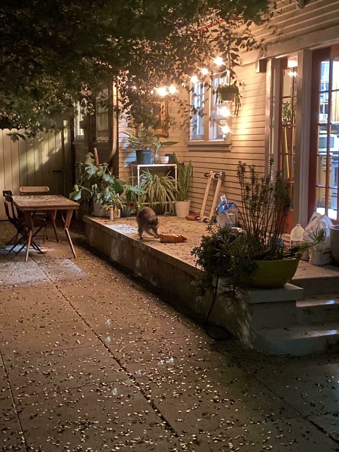 Well There Goes My Tip 