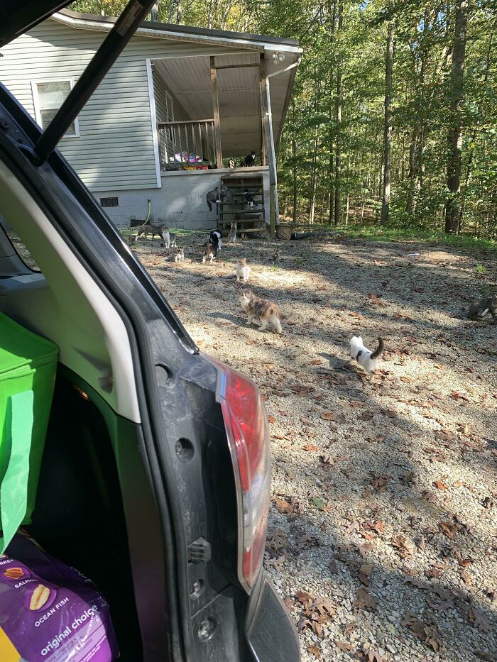 A Delivery I Did A While Ago