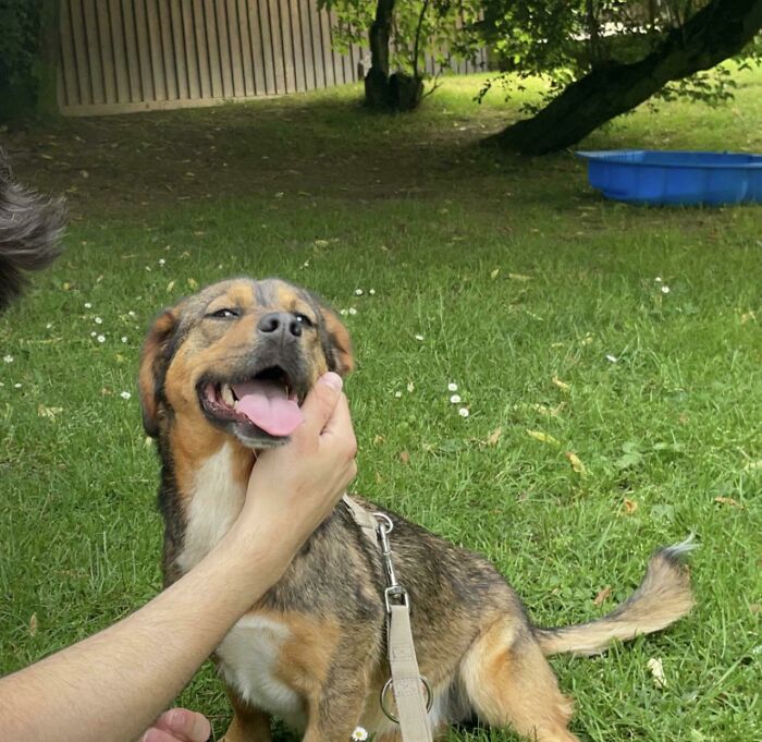 Can You Help Me Name Our New Family Member :)