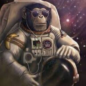 barrythemagnificentgardengnome avatar