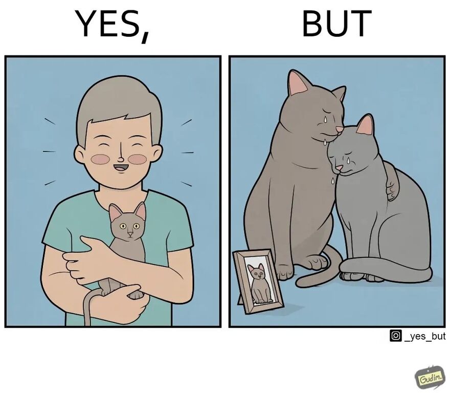 Illustration from artist Yes But showing a happy person holding a cat contrasted with two cats mourning a framed photo of a cat.