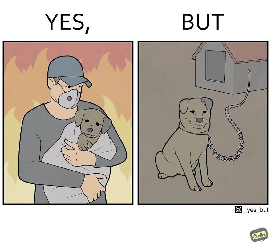 Illustration showing society’s contradictions with a man saving a dog from fire and the dog chained outside its house.