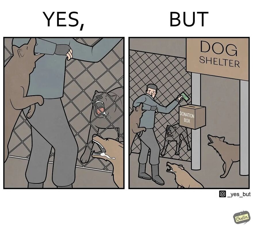 19 Comics By Artist Antоn Gudim From The "Yes, But" Series, Dedicated Exclusively To Dogs And Cats