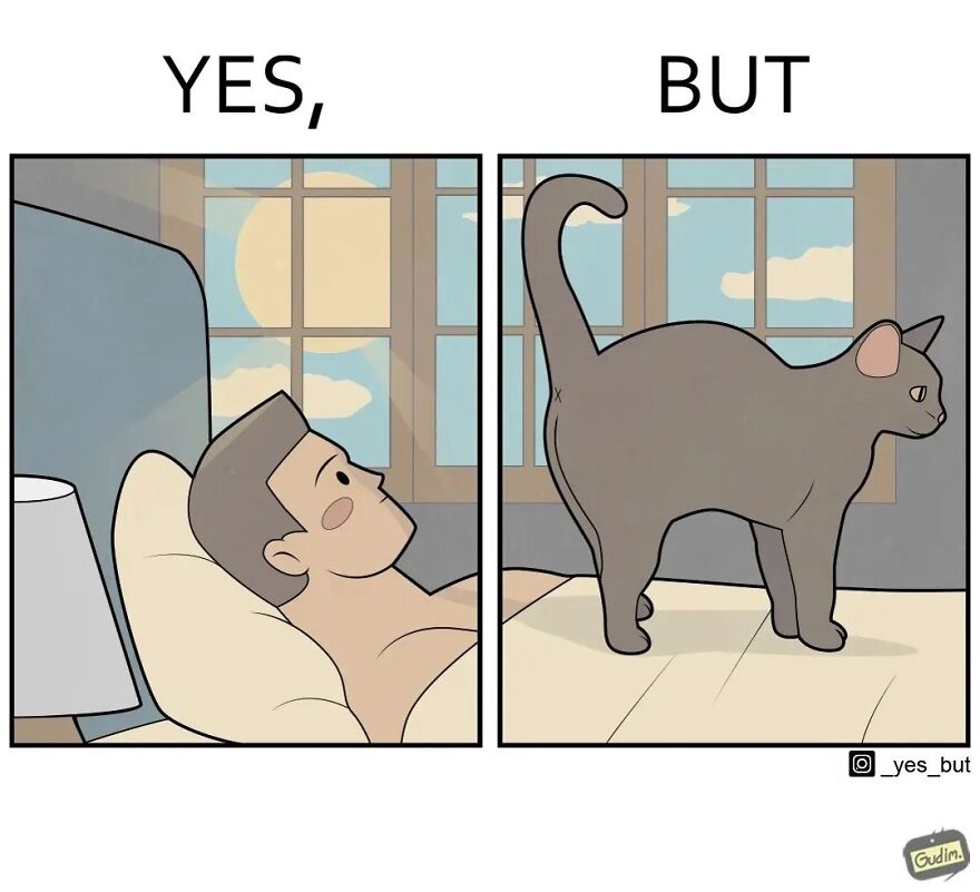 Illustration from Yes But series showing a man lying in bed and a cat standing, depicting society’s contradictions.
