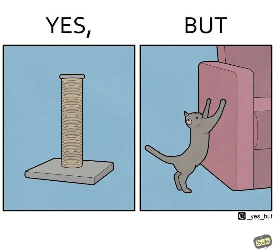 Illustration from Yes But series showing a cat scratching a couch instead of the scratching post.