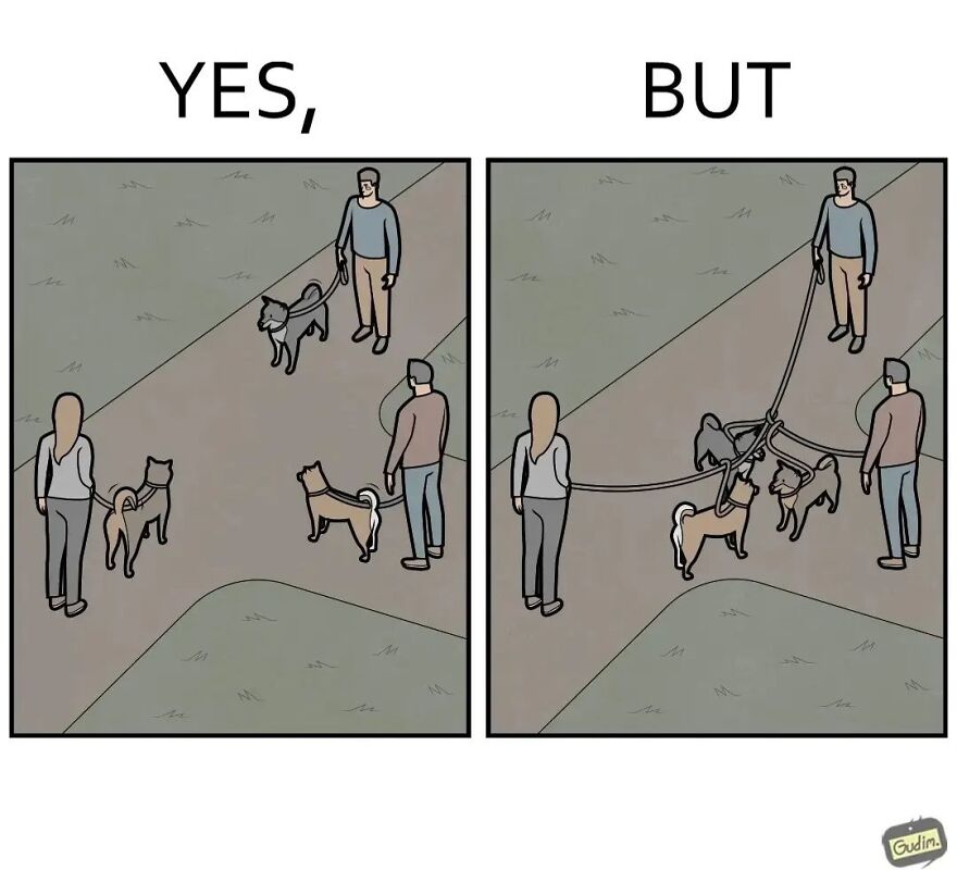 19 Comics By Artist Antоn Gudim From The "Yes, But" Series, Dedicated Exclusively To Dogs And Cats