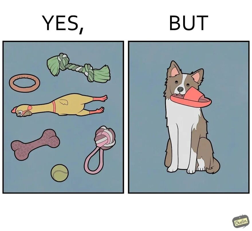 19 Comics By Artist Antоn Gudim From The "Yes, But" Series, Dedicated Exclusively To Dogs And Cats