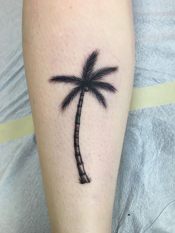 Tattoo of a palm tree on a person's forearm, showcasing nature-inspired art.