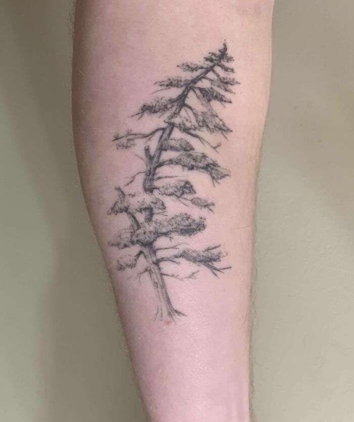 Tree tattoo on forearm, featuring a detailed, majestic design celebrating nature's wonders.