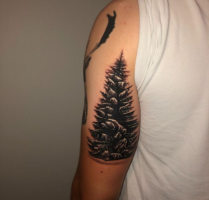 Arm displaying a detailed tree tattoo, showcasing nature-inspired art.