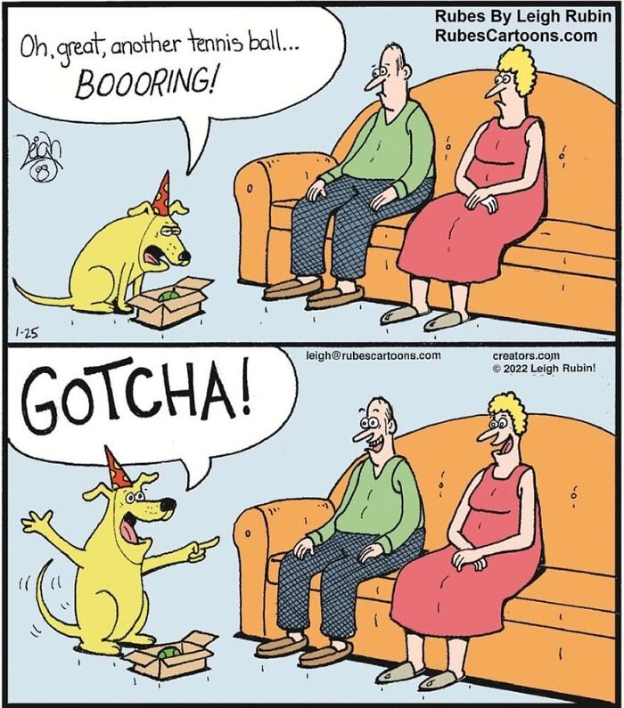 Take A Peek Into The Casual Daily Lives Of Animals With These Hilarious Comics (New Pics)