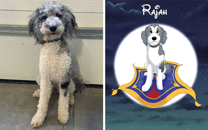 People Send Pictures Of Their Pets To This Artist To Get Them ‘Disneyfied’ (New Pics)