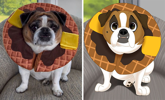 People Send Pictures Of Their Pets To This Artist To Get Them ‘Disneyfied’ (New Pics)
