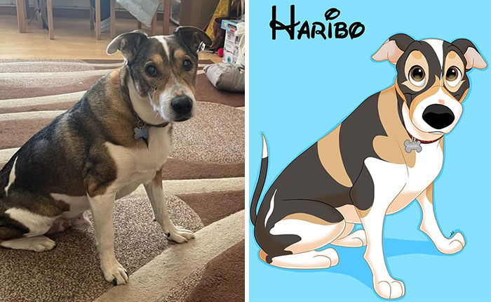 People Send Pictures Of Their Pets To This Artist To Get Them ‘Disneyfied’ (New Pics)
