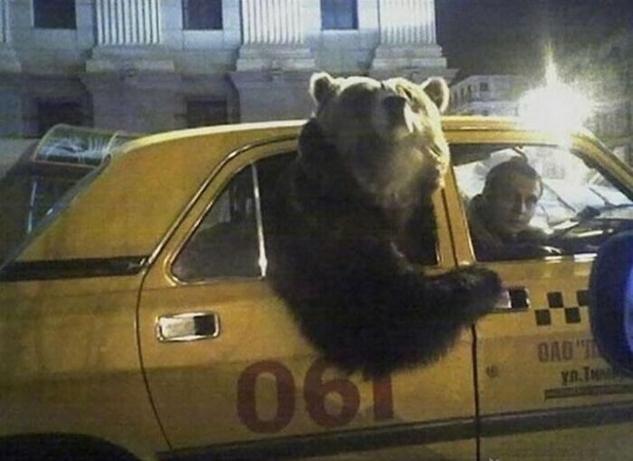 Hilarious-Cursed-Images