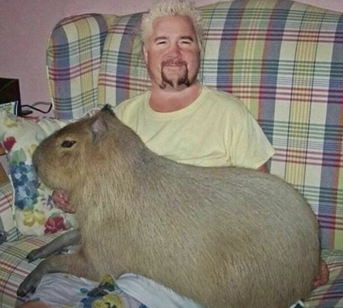 Hilarious-Cursed-Images