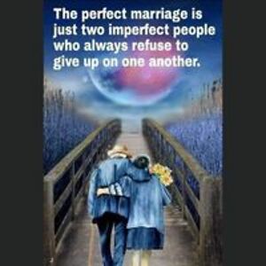 birdsnestally avatar