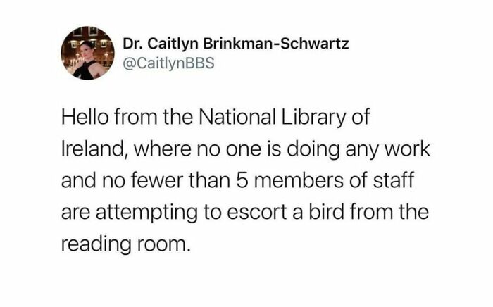 Meanwhile-In-Ireland-Memes