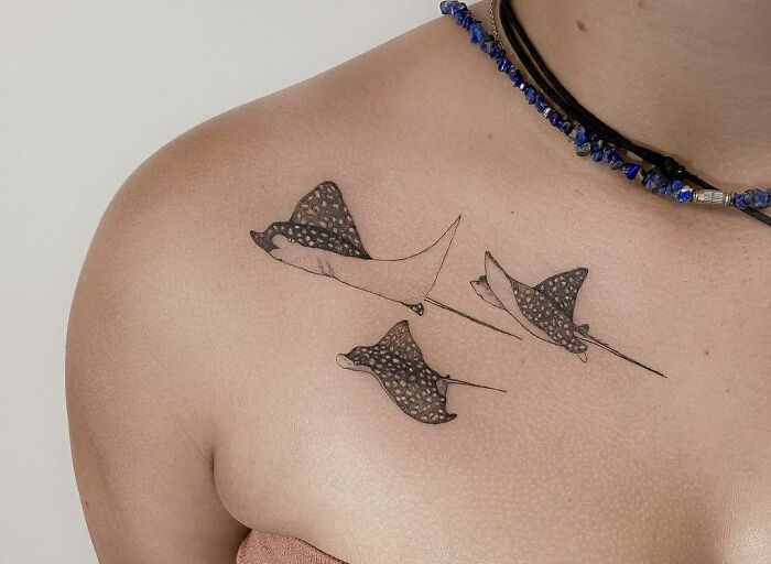 Collarbone tattoo of three manta rays on a woman's chest, featuring intricate detailing.