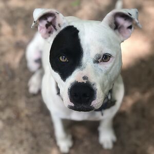 millerkrisher avatar