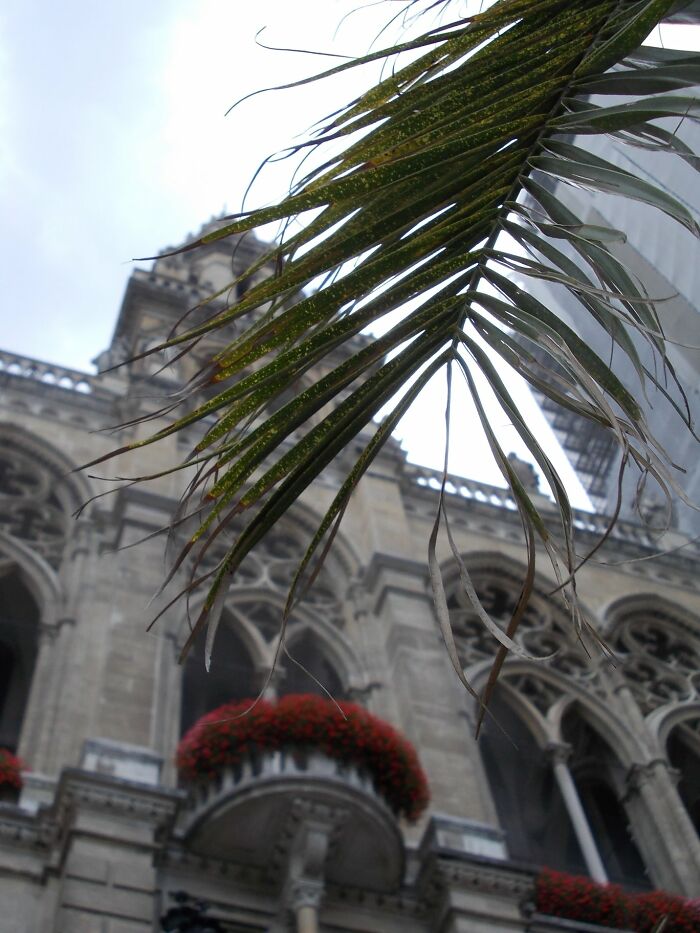 Wiener Rathaus, Vienna