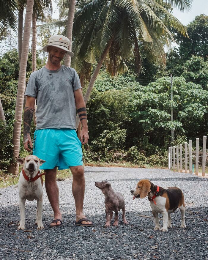 Man Finds His True Happiness Saving Stray Dogs In Thailand (20 Pics) Man Finds His True Happiness Saving Stray Dogs In Thailand (20 Pics)