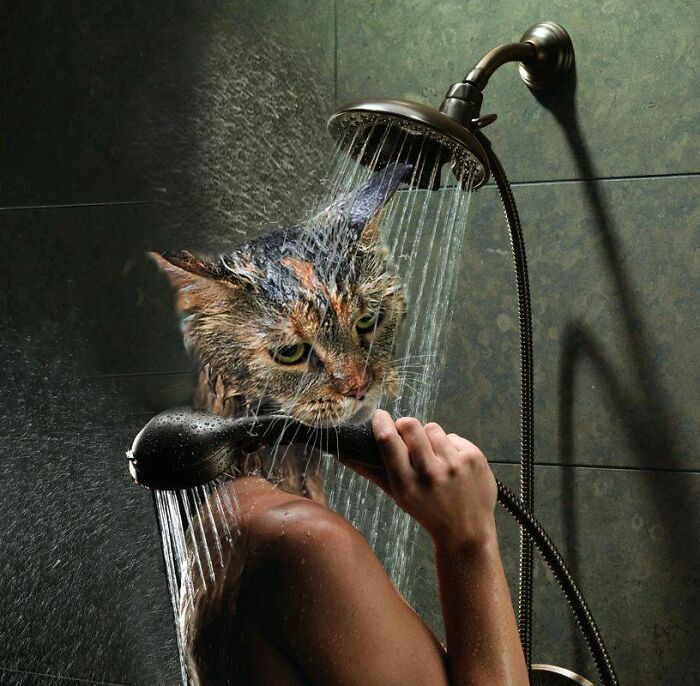 An Artist Creates Photo Collages With Cats And They're Weirdly Purrrfect (29 Pics)