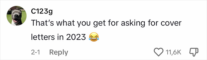 "How Do They Have Every Single Thing I Want": Employer Catches Job Applicant Using ChatGPT To Write A Cover Letter