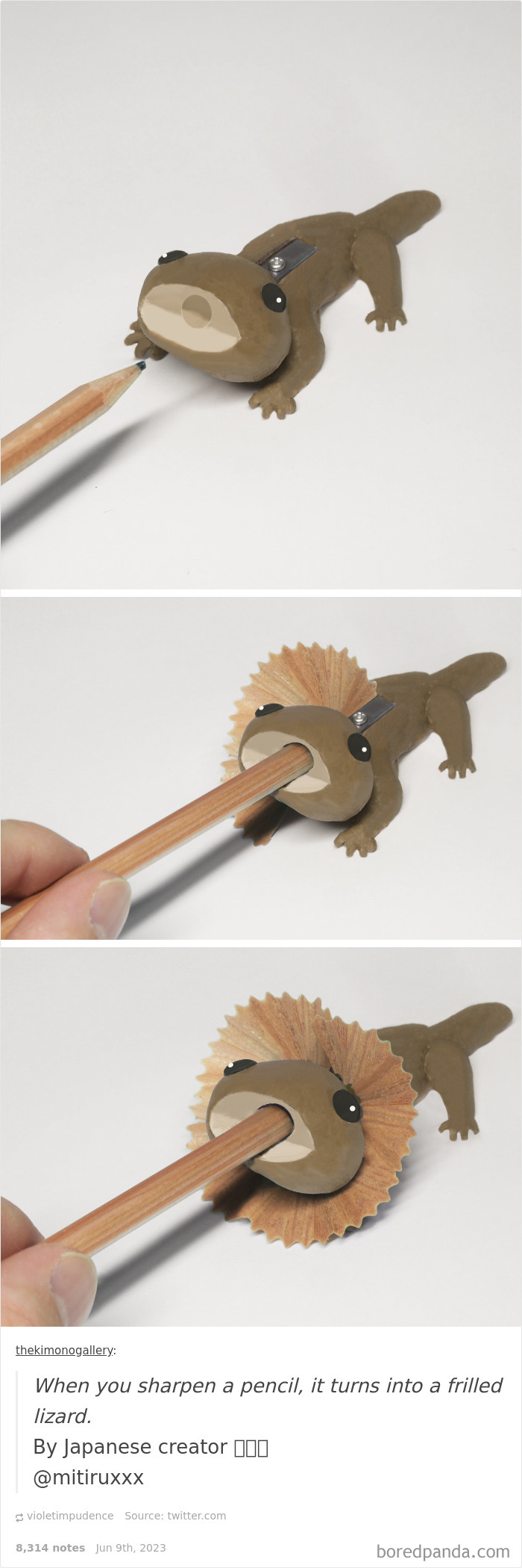 Pencil Shavings Create Frilled Lizard