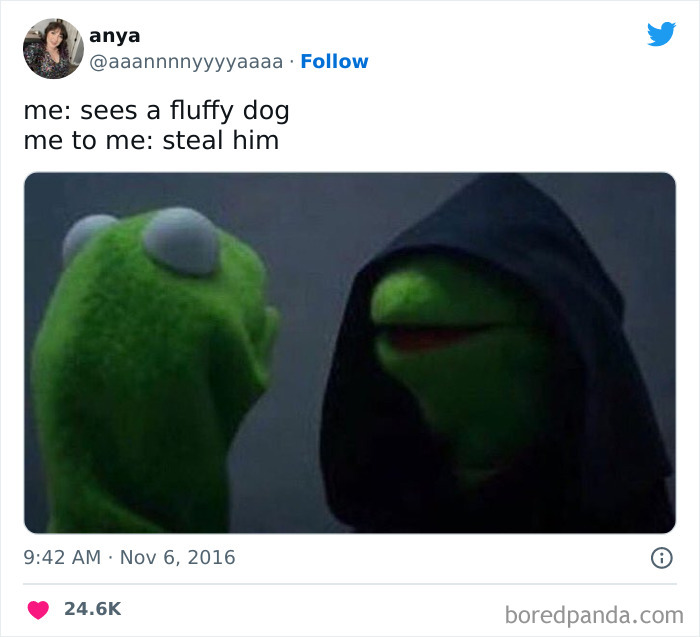 Evil Kermit meme showing Kermit and hooded alter ego, with text about seeing a fluffy dog and an inner urge to steal it.
