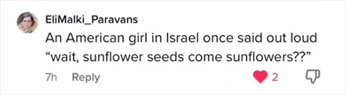 American-Tourists-Doing-Embarrassing-Things