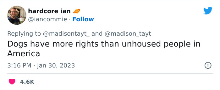 &ldquo;I&rsquo;m Sorry, But Unless It&rsquo;s A Trained Service Dog, Your Dog Simply Does Not Need To Come With You On All Your Errands&rdquo;: Woman&rsquo;s Thread About Dogs Goes Viral On Twitter