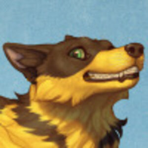 lakotasilverthree avatar