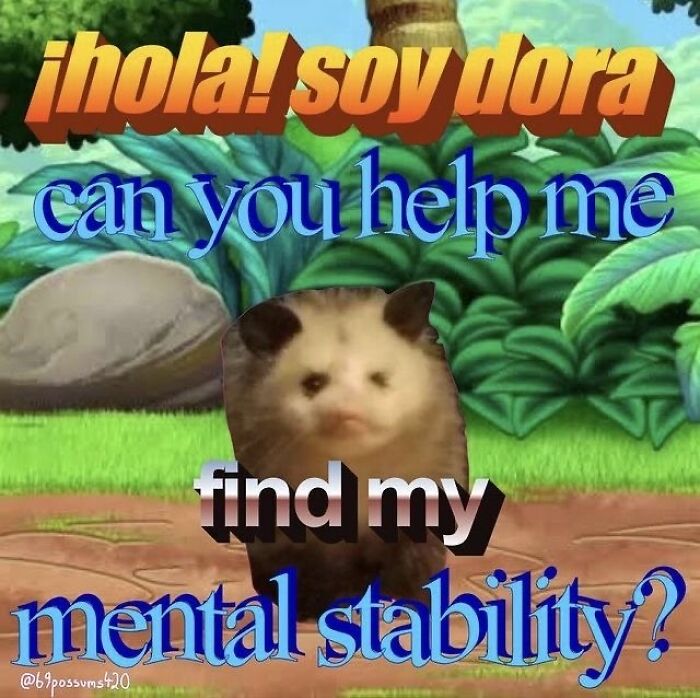 13 Possum Memes For My Mentally Dying Besties