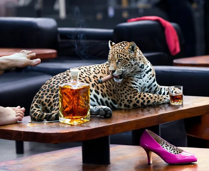 An Artist Creates Photo Collages With Cats And They're Weirdly Purrrfect (29 Pics)