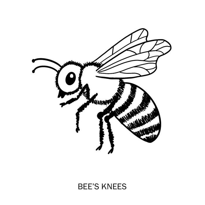 Artist Illustrated Literal Meanings Of Words And Word Combinations (New Pics)